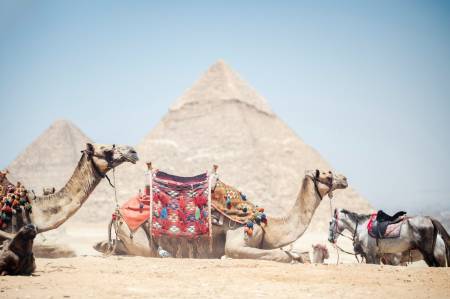 Golden Scarab Pyramids Hotel Golden Scarab Pyramids Hotel8